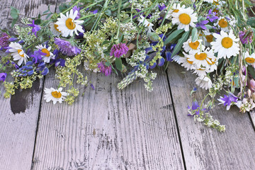 Various wild flowers on wooden background 
