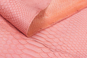 Python snakeskin leather background, snake skin, texture, animal, reptile