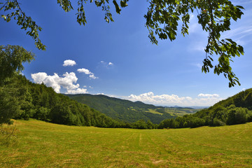 Polana w górach z firanką z liści © Jurek Adamski