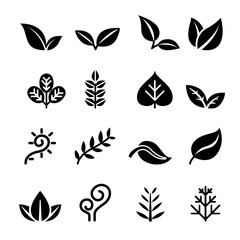 Fototapeta na wymiar Leaf ,Plant, Herb , vegetation , icon set