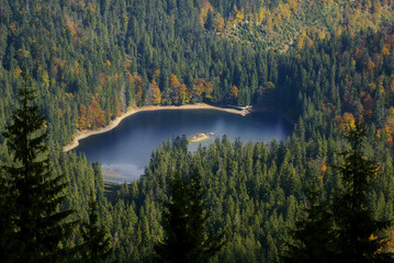 Lake surrounded with autumn trees