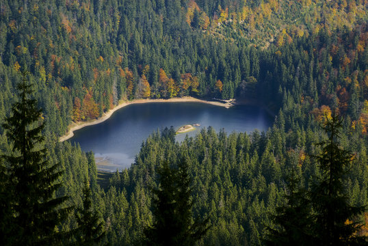 Lake surrounded with autumn trees