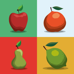 apple pear lemon orange healthy and organic food nutrition lifestyle icon set. Colorful and flat design. Vector illustration