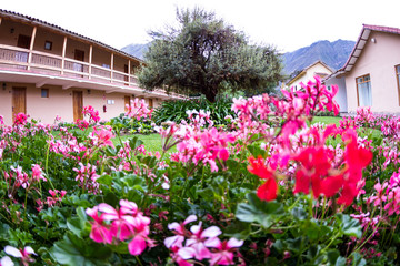 Fototapeta na wymiar Beautiful hotel landscaping in Peru