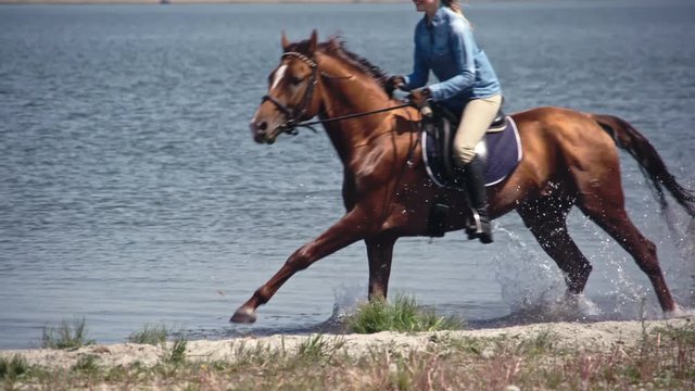 Close up tracking of purebred Russian Don mare galloping through lake water with female rider