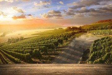 Red wine with barrel on vineyard in green Tuscany, Italy