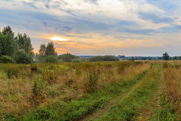 Fototapeta premium Edge of the forest and the road through the field, sunset in August