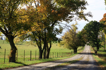 Obraz premium Country Lane