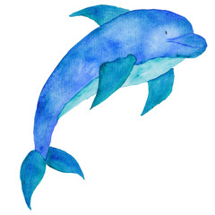 Dolphin Sea Animal Ocean Nautical Blue watercolor Hand-painted illustration cute animal 