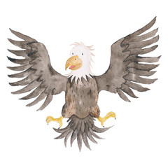 Eagle Bird Birds watercolor Hand-painted illustration isolated cute Kids Sweet Baby Invitation Card Bright Colorful