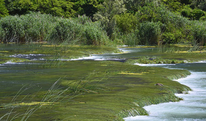 The 'Pearl Necklaces' cascade on the River Krka in Krka National Park, Sibenik-Knin County, Croatia.
