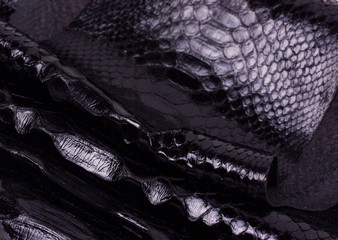 Python snakeskin leather background, snake skin, texture, animal, reptile