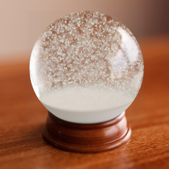 Empty snow globe