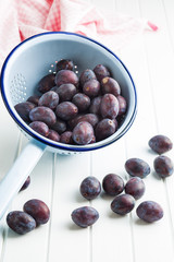 Fresh plums from garden in colander.