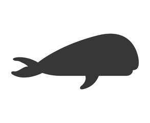 whale fish isolated icon