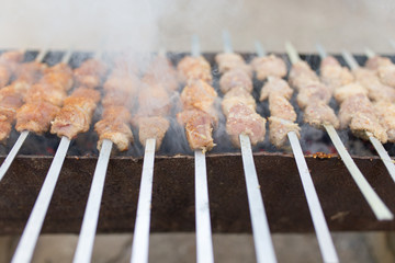 grilled skewers on the grill