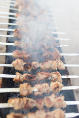 grilled skewers on the grill
