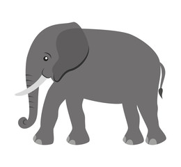 cute elephant animal tender isolated icon