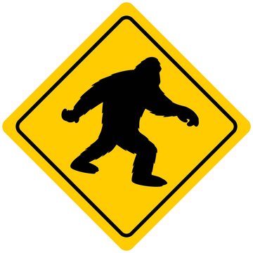 Bigfoot Crossing