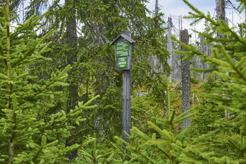 Forest destroyed during a storm Kyrill 19. january 2007 around the observation tower Polednik, on...