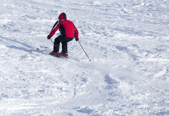 people skiing in the winter