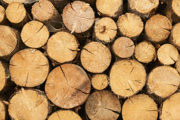 background of firewood stack