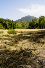 Landscape of a field in the mountains