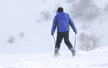 people skiing in the snow in the winter