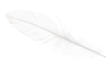 pure white soft straight feather