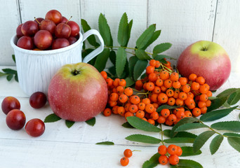 Gifts of autumn: apples, cherry plum, mountain ash on a white background. Still life in yellow, orange, red.