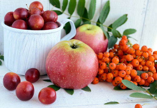 Gifts of autumn: apples, cherry plum, mountain ash on a white background. Still life in yellow, orange, red.