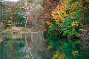 Pond In Autumn