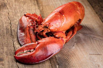 Red lobster on wooden background