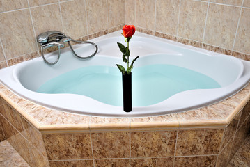 Red Rose in a black vase on a corner bathtub
