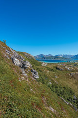 Fototapeta premium Sommaroy in Troms, Norway,