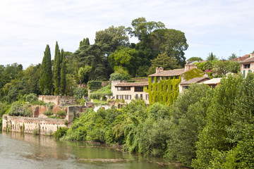 Fototapeta na wymiar Houses with ivy surrounded of trees in Albi, France