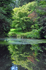 Lush green botanical garden reflected in pond