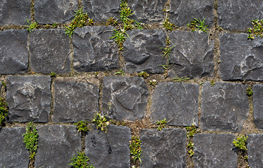 Old wall of grey stones texture background with green grass