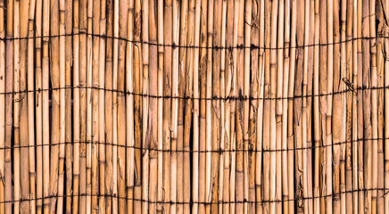 Texture of orange wall of bound bamboo