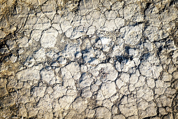 Texture of grey withered earth with cracks