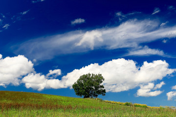 Fototapeta na wymiar 夏の丘と雲