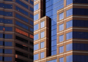 Naklejka premium Downtown Skyscraper