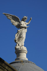 Angel at Recoleta cemitery