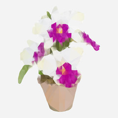 Polygonal Cattleya Orchid Flowers