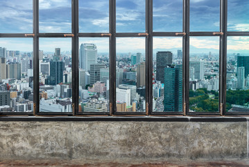 Fototapeta na wymiar view Tokyo Skyline, Cityscape of Tokyo City, Japan, Beautiful tr