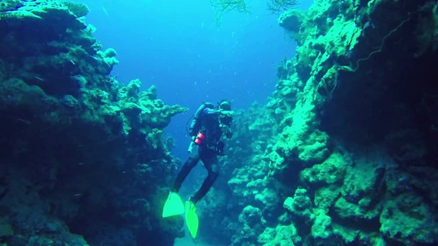 Underwater scene Diver makes photos diving between two rocks of corals in Red Sea. Dahab. Egypt. Target camera. 4k video