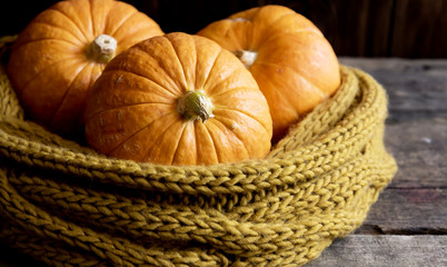 Three beautiful pumpkins on wooden background