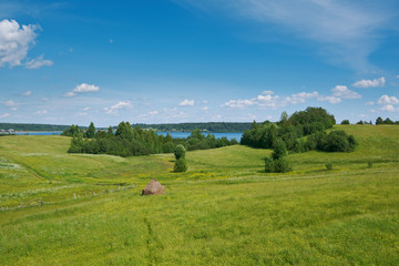 Fototapeta na wymiar Russian summer meadow