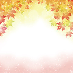 Fototapeta premium autumn background with maple leaves