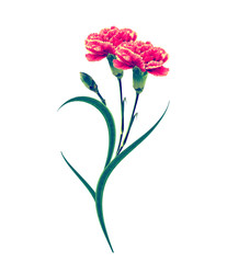 Obraz premium Bouquet of flowers carnation.